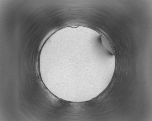 X0000080140812200701051512