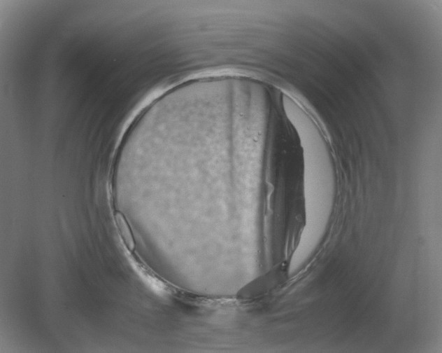 X0000080140813200701051512