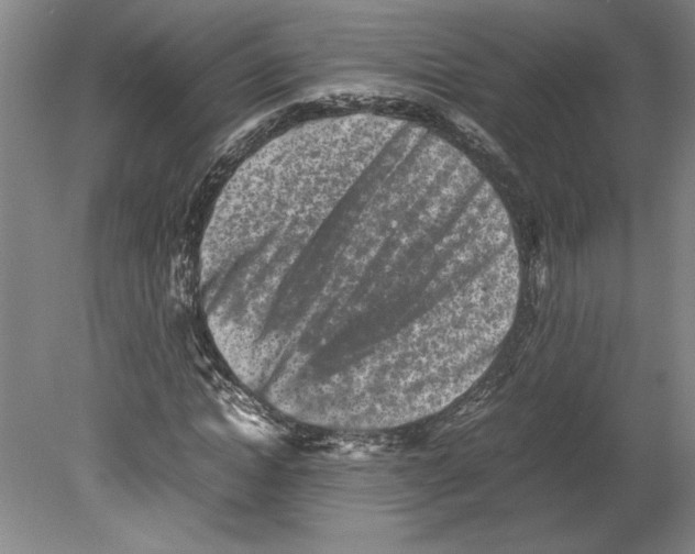 X0000080140822200701051511
