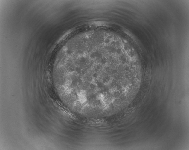 X0000080140823200701051511