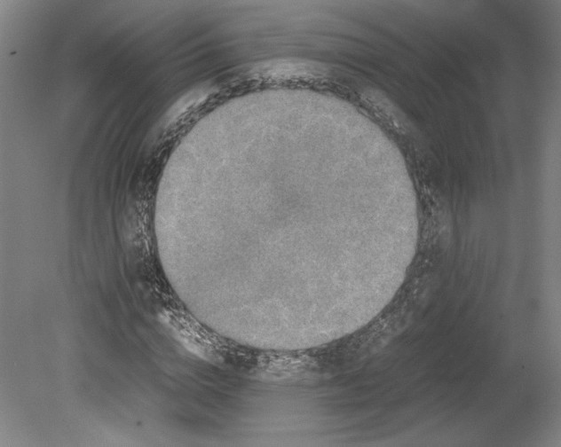 X0000080140824200701051511