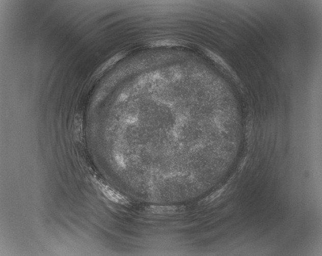 X0000080140825200701051511