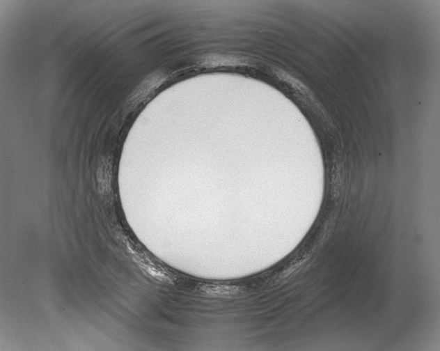 X0000080140833200701051511