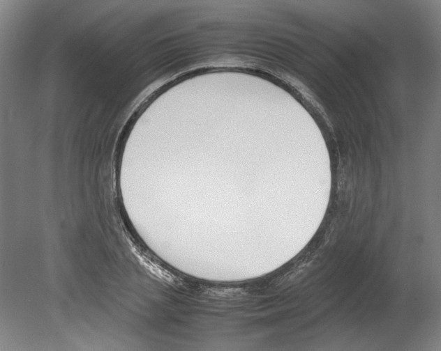 X0000080140837200701051511