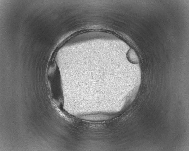 X0000080140839200701051511