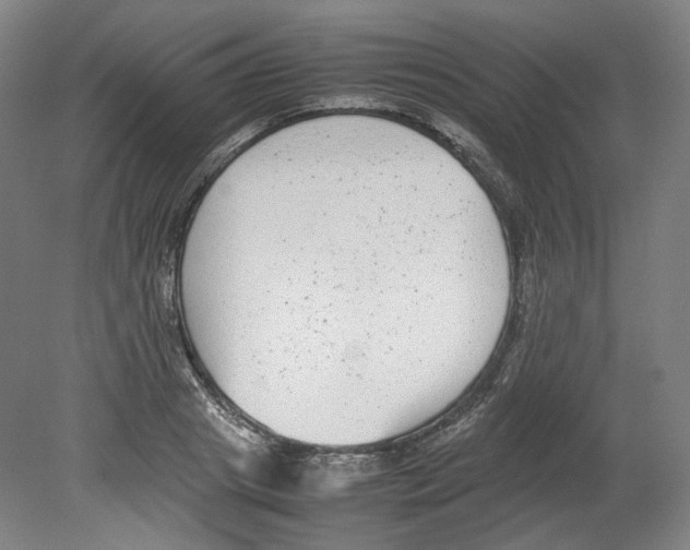 X0000080140841200701051511