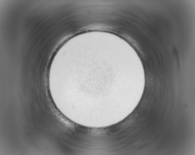 X0000080140848200701051511