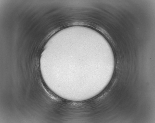 X0000080140849200701051511