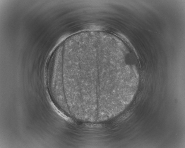 X0000080140851200701051511