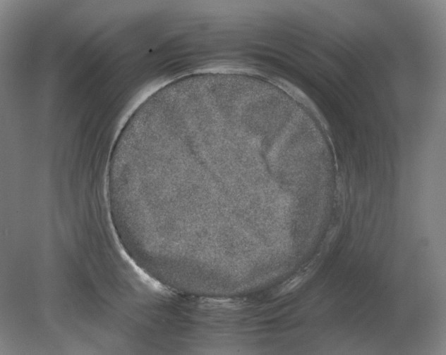 X0000080140855200701051511