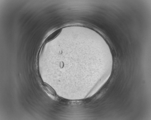 X0000080140858200701051511