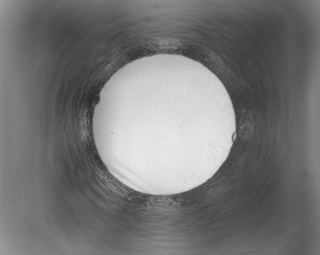 X0000080140866200701051511