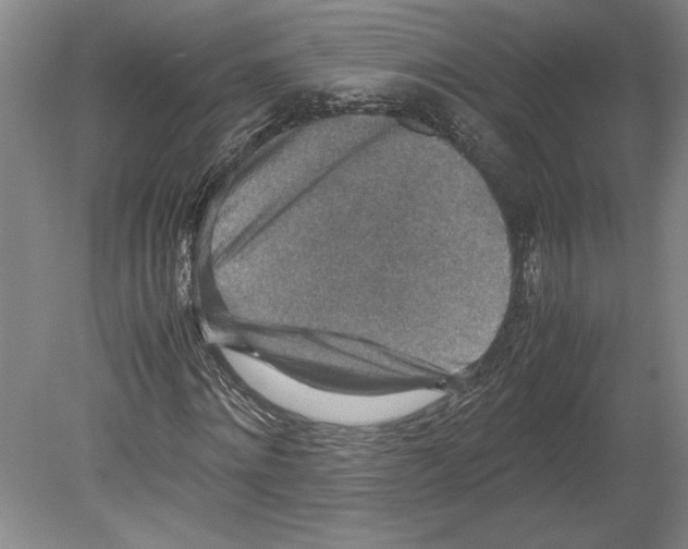 X0000080140868200701051511