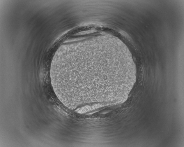 X0000080140872200701051511