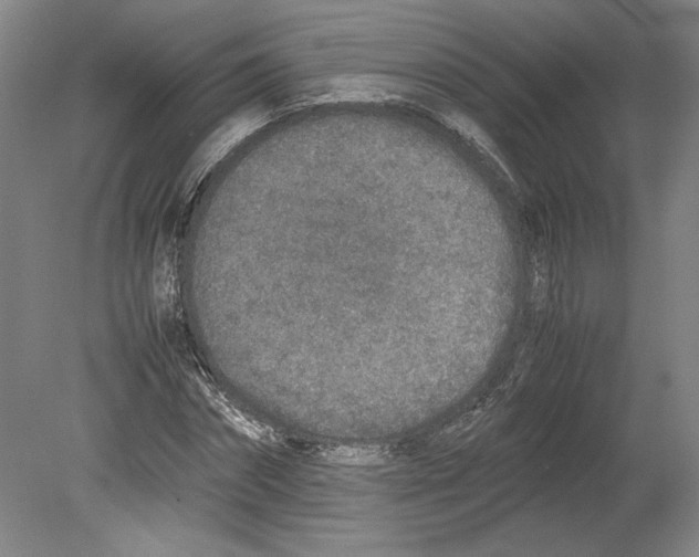 X0000080140874200701051511