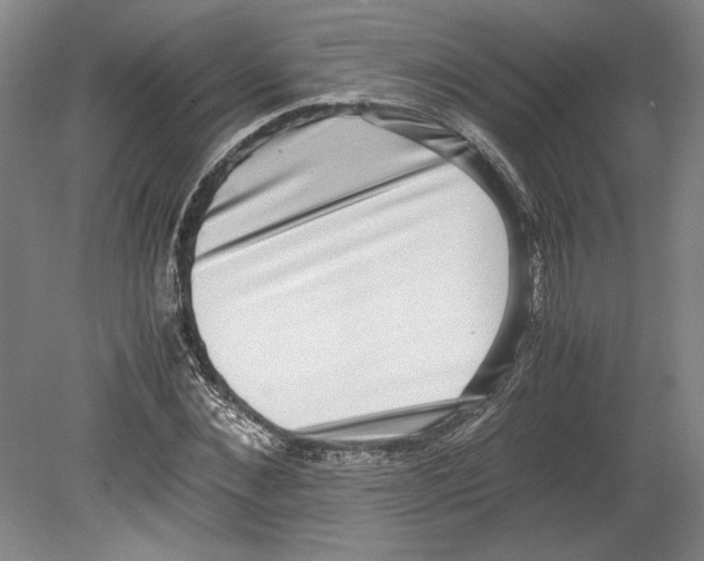 X0000080140876200701051511