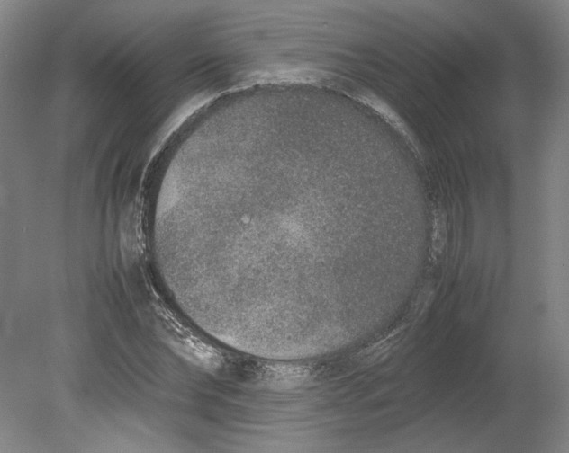 X0000080140878200701051511