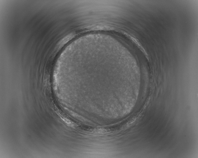 X0000080140881200701051510