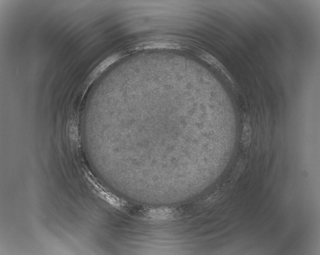 X0000080140882200701051510