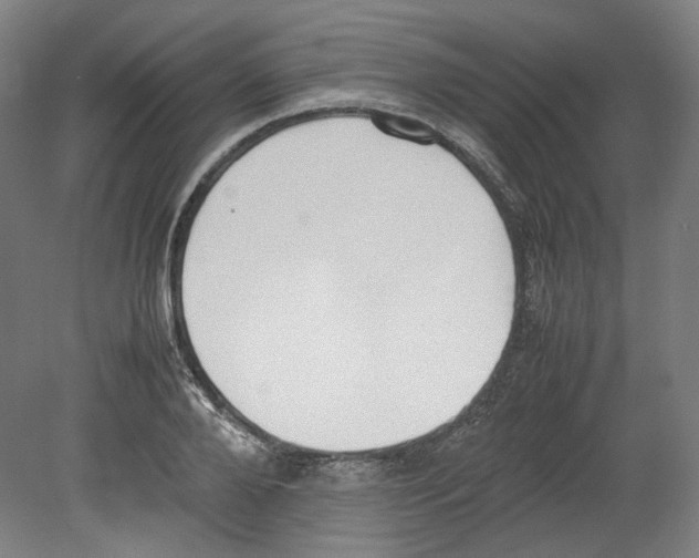 X0000080140888200701051510