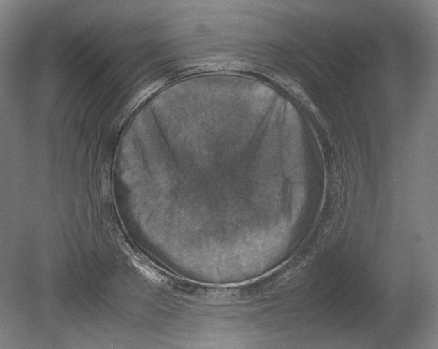 X0000080140889200701051510