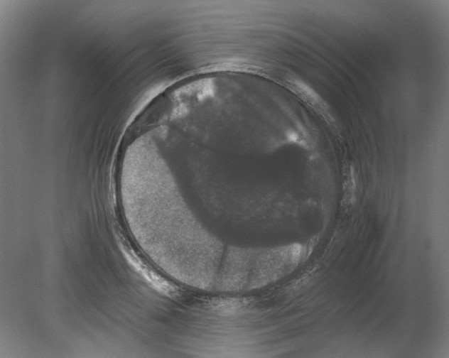 X0000080140892200701051510