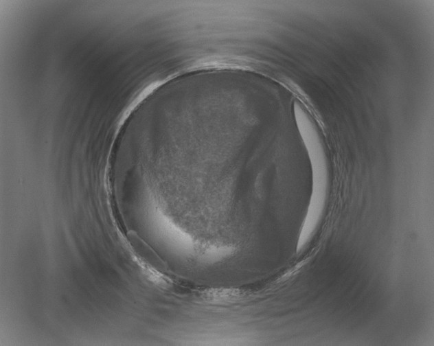 X0000080140893200701051510