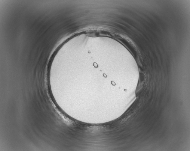 X0000080140894200701051510