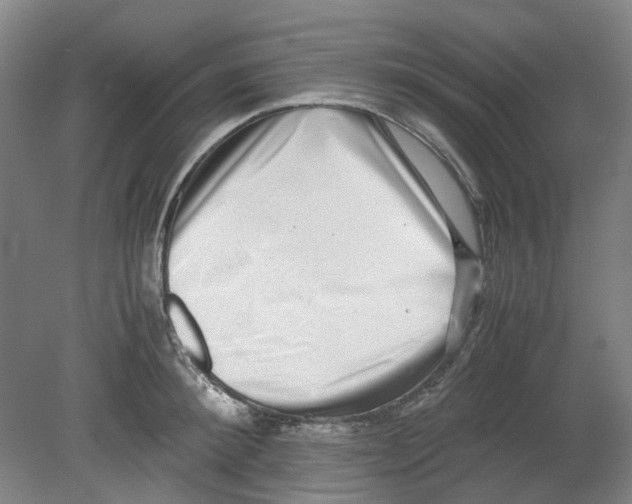 X0000080140900200701051510