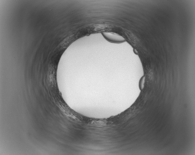 X0000080140914200701051509