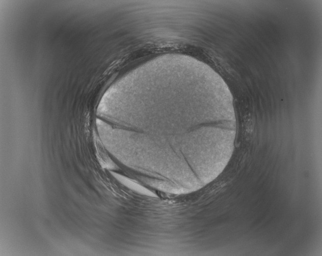 X0000080140916200701051509