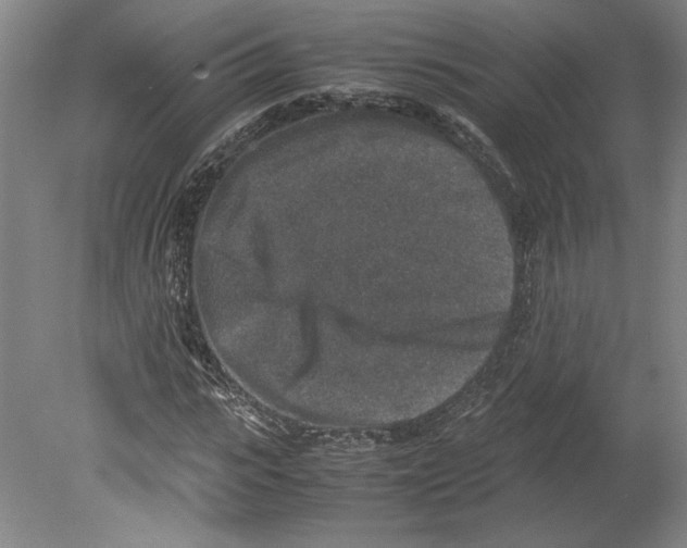 X0000080140919200701051509