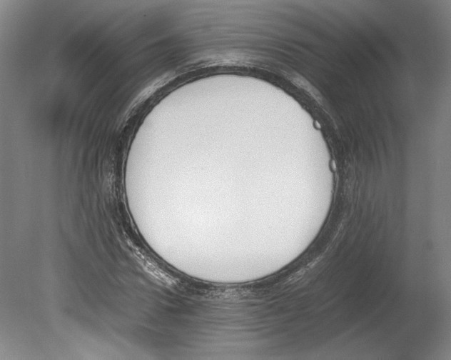 X0000080140922200701051509