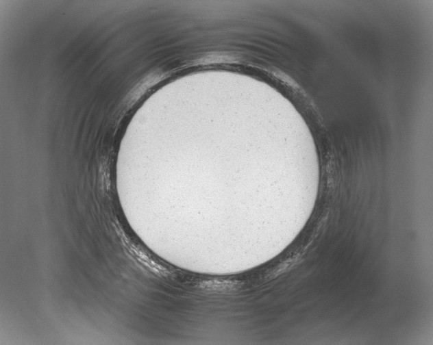 X0000080140929200701051509
