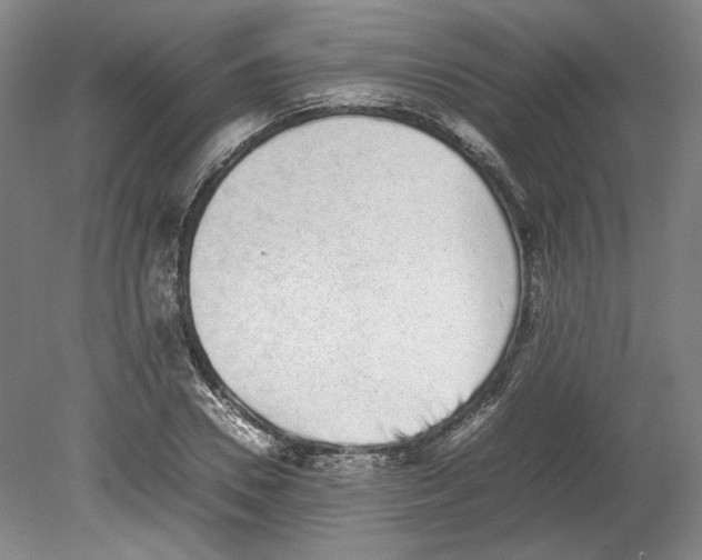 X0000080140930200701051509