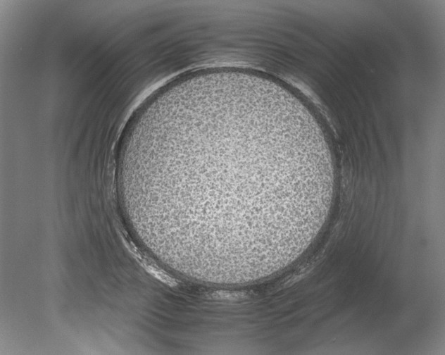 X0000080140933200701051509
