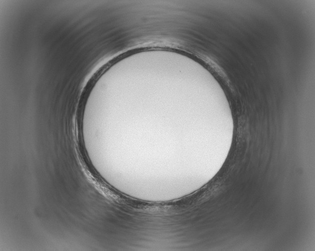 X0000080140936200701051510