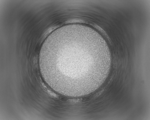 X0000080140937200701051510