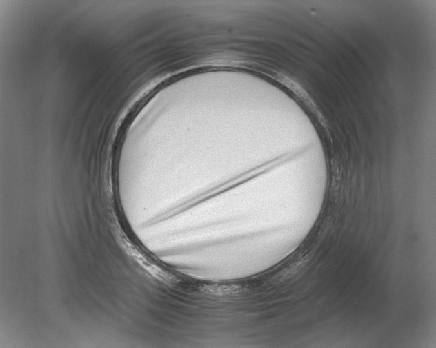 X0000080140939200701051510