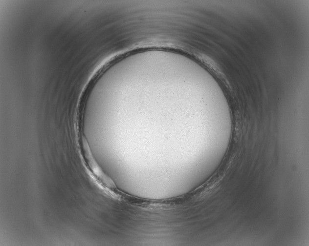X0000080140942200701051510