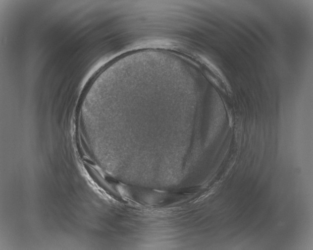 X0000080140944200701051510