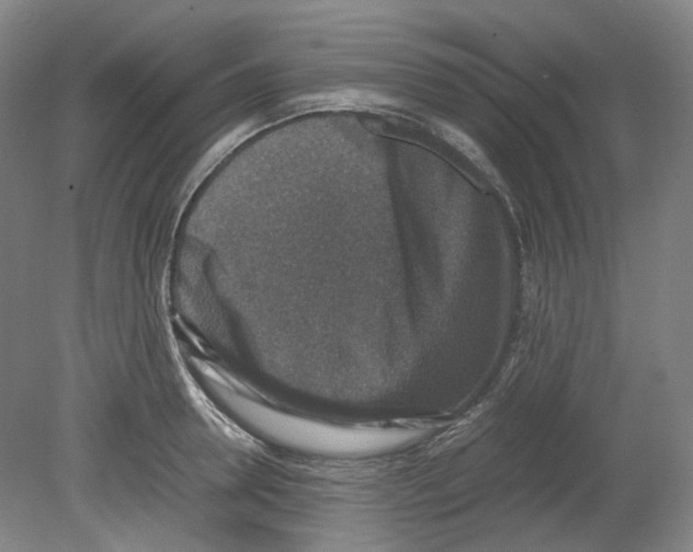 X0000080140946200701051510