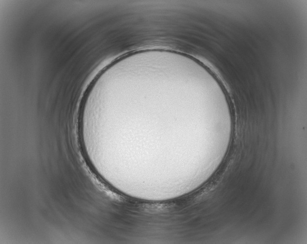 X0000080140949200701051510