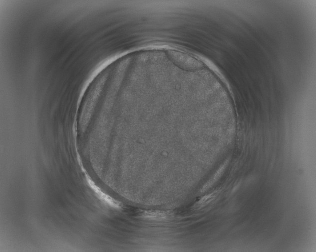 X0000080140951200701051510