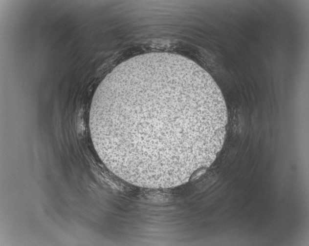 X0000080140962200701051509