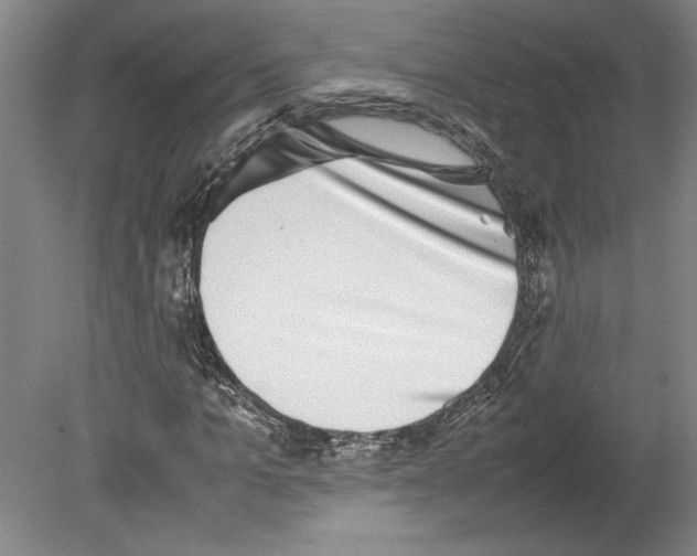 X0000080140965200701051509