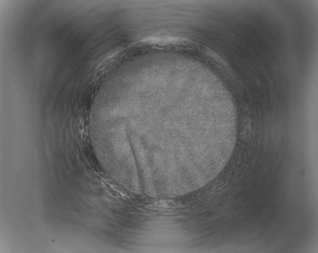 X0000080140966200701051509