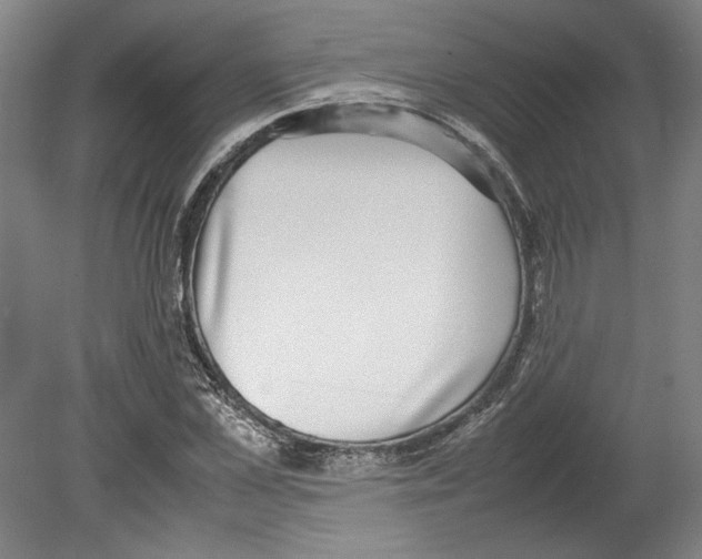 X0000080140973200701051509