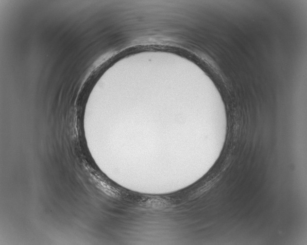 X0000080140974200701051509