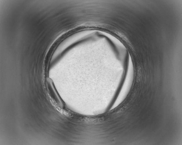 X0000080140976200701051509